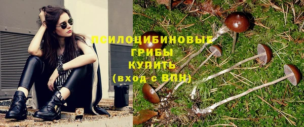 шишки Наволоки