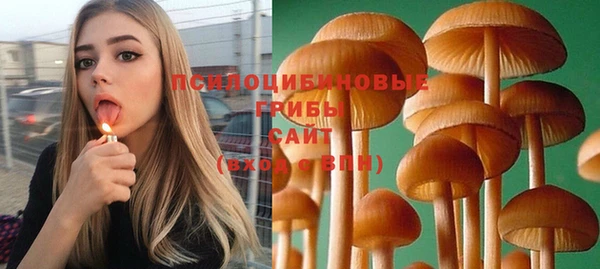 шишки Наволоки