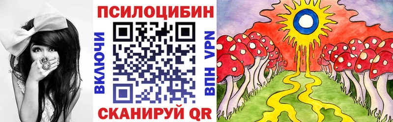 где можно купить наркотик Нариманов Галлюциногенные грибы Psilocybe