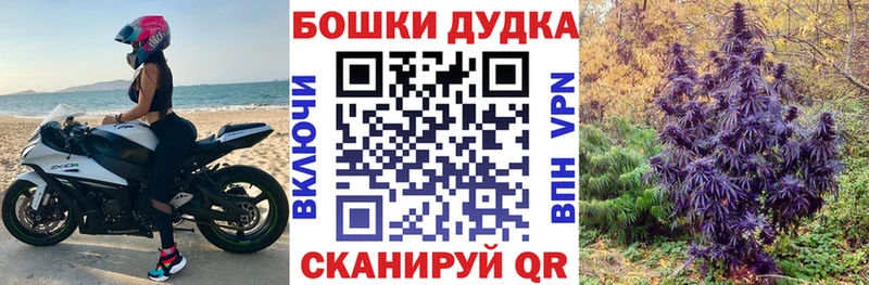 Бошки Шишки ГИДРОПОН  Нариманов 