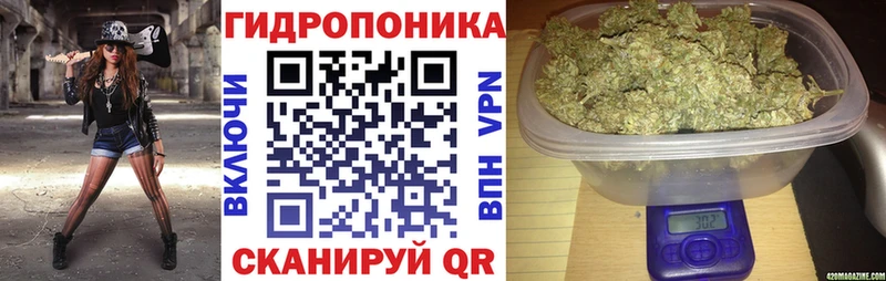 Бошки Шишки семена Нариманов